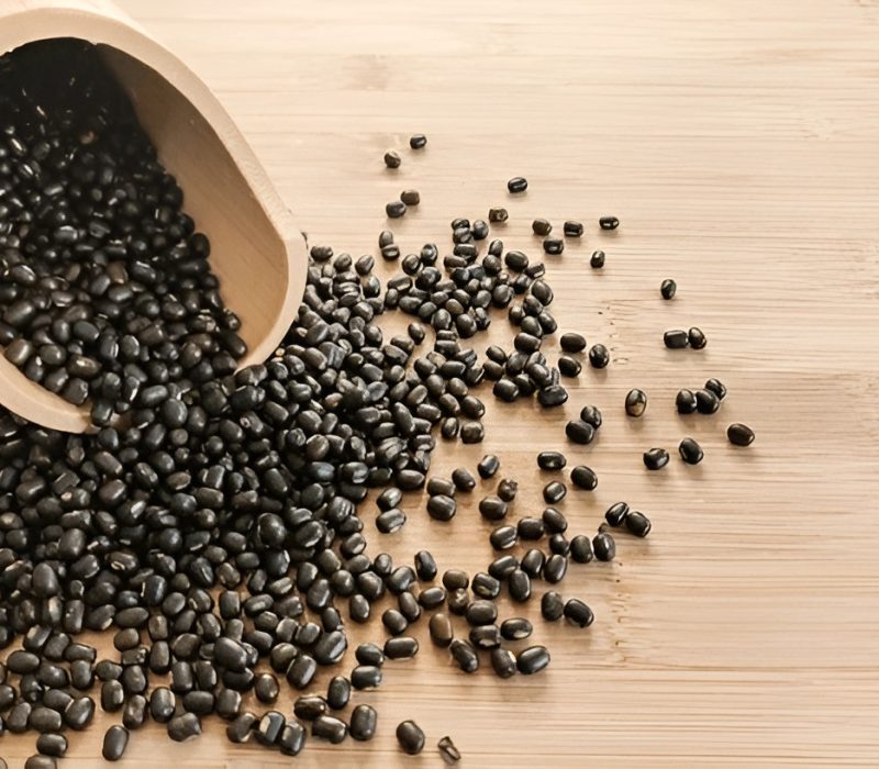 black-lentils-isolated-organic-lentil-600nw-1799592337 (1) black-lentils-isolated-organic-lentil-600nw-1799592337 (1)